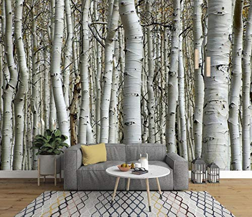 Vlies Fototapete Holz Birkenwald Schwarz Und Weiß Birke Wald Art Wand-Dekoration Moderne Motiv-Tapete Bild Design 3D Panorama Foto - 150x105CM-L