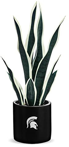FOREVER LEAF MSU, pianta di serpente MSU, pianta di serpente finto, regali per uomini, regali MSU per donne, regali MSU, decorazioni spartane, decorazione per grotta dell'uomo, accessori da ufficio