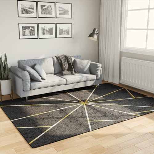Rantry Teppich, waschbar, Schwarz und Gold, 160 x 230 cm, rutschfest, Möbelteppich, Küchenläufer für Flur, Schlafzimmer
