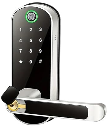 Serratura intelligente for porta con impronta digitale, telecomando, senza chiave, password digitale, elettrica, impermeabile(Silver)