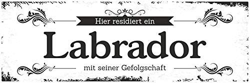 Schild Vintage Shabby Geschenk Holzschild Hundeschild Labrador Türschild