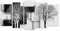 HXA DECO - Decoration Murale, Decoration Chambre Art Mural Tableau Deco, Tableau 5 Parties Graphique Arbres sur Fonds Noir et Blanc - 150x80 cm