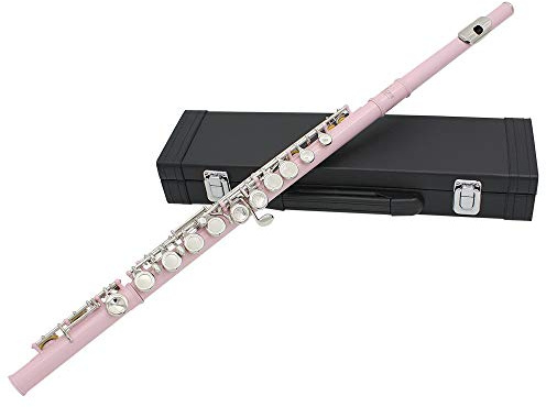 16 Loch bunte vernickelte C-Querflöte mit E-Taste, ideal für Anfänger, abgestufte Aufführungen, Western-Musikinstrumentenflöte