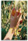 Filmposter Call Me by Your Name, Raumdekoration, Poster für Schlafzimmer, Wohnzimmer, Wände, 30 x 45 cm, ungerahmter Stil