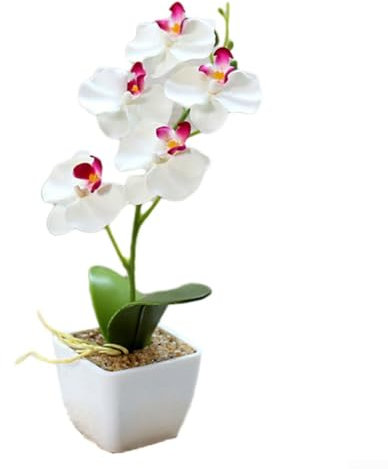 Orchidee artificiali in vaso, fiori artificiali in vaso, fiori simulati, 5 teste Phalaenopsis, piccoli bonsai per matrimoni, feste, composizioni floreali, casa, decorazione della cucina (bianco)