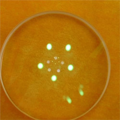 Obiettivo per oggetti calibro 80 F 320 400 500 800 1000 – telescopio astronomico multi-film accessori fai da te per una migliore esperienza visiva (D80F800mm)