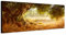 Augenblicke Wandbilder Keilrahmenbild Wandbild 150x50cm Olivenbaum Wald Sonnenlicht