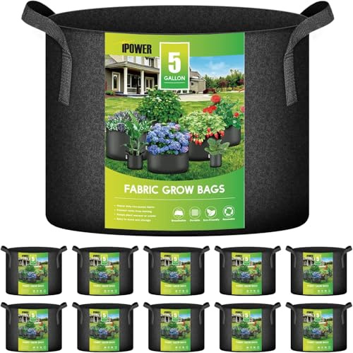 iPower 5 Gallon 10 Pack Grow Bags Nonwoven Fabric Pots Aeration Container with Strap Handles for Garden and Planting, 10-Pack Black, 5 Gallon