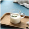 YAOSHER Plato Pitcher Creamer, con la manija, Jarabe Pitcher, Café Leche Miel Jarra de Leche Jarabe Server (4 Pack) Placa