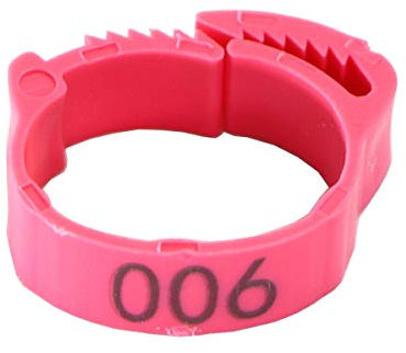 Jksdp 30Pcs Chicken Foot Ring mit veränderbarer Länge Geflügelbein Digital Label Buckle Ring Kunststoff-Küken Enten-Gans-Landmaschinen