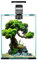 Aquael 122980 Shrimp Set Day&Night 30, schwarz, 6.05 kg, 30 Liter