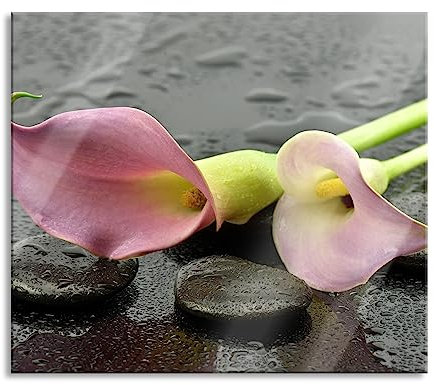 Rosa Callas im Regen Herdabdeckplatte & Spritzschutz aus Echtglas | Für Herd-Kochfelder | 60x52 cm