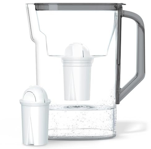 Wessper Carafe 2.7 L, Carafe Filtrante pour Eau