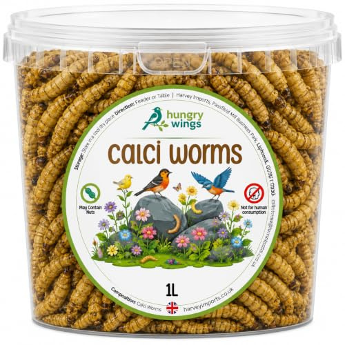 Premium Wild Bird Food 1L Tub (1L Tub, Calci Worms)