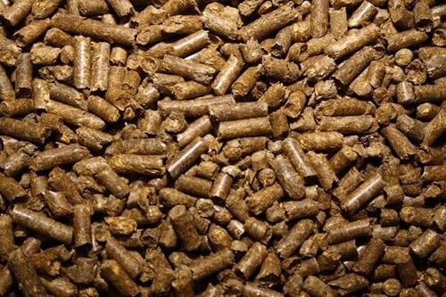 Tortoise Grass Pellet