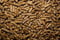 Tortoise Grass Pellet