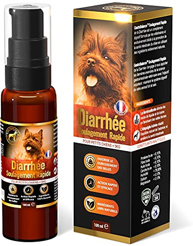 GastroBalance Traitement Chien diarrhée - Soulagement Anti diarrhée Chien (Petite Taille (< 5kg))