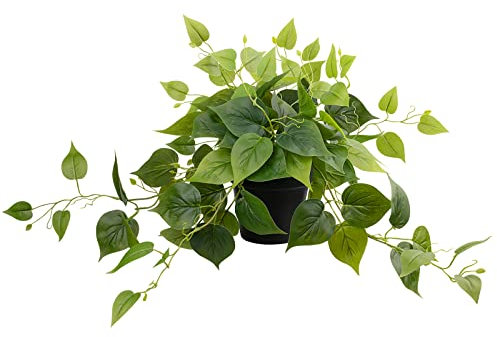 LOYWREE Finto Pothos - Piante artificiali realistiche per interni, in vaso, per casa, ufficio, giardino, decorazione, vaso nero