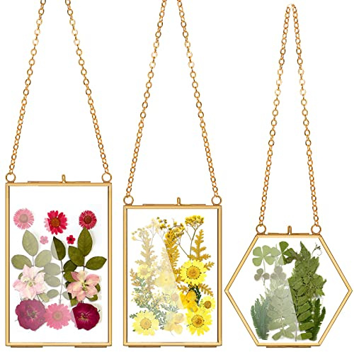 AVLA 3 Pack Pressed Flowers Glass Frames, Brass Hanging Picture Frames with Chain, Small Golden Floating Photo Frame, Clear DIY Artwork Display Frame for Wall Decor, Dried Plant Specimen
