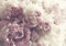 decomonkey Fototapete Blumen 400x280 cm Tapete Fototapeten Vlies Tapeten Vliestapete Wandtapete moderne Wand Wandbild Schlafzimmer Wohnzimmer Pfingstrosen Natur Rosa Puderrosa Blumenmotiv Romantik