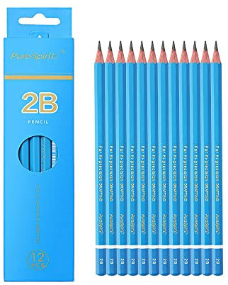 HAIHAOMUM 12 Stück Professionelle Bleistiften zum Zeichnen - Härtegrad 2B, für Erste Skizzen und Schattierungen - Graphitstifte für Kunstler und Einsteiger