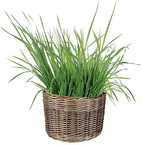 Dibor Natural Willow Wicker Planter Indoor/Outdoor Plastic Lined Rattan Flower Pot Strawberry Herb Plant Pot (M)