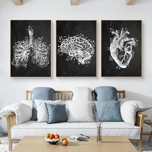 KAIDAARTLH Abstrakt Medizin Anatomie Poster, Organe Herz Gehirn Leinwandbilder Arztpraxis Dekoration, Kunstdruck Wandbilder für Krankenhaus Klinik Deko-Rahmenlos(B,3x50x70cm)