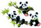 PPS. Imaging Fenstersticker Fensterfolie Fensterbild Pandabären Set HxB: 33 x 50cm