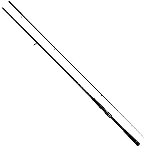 Daiwa Labrax AGS 100M-N 3,05m 10-50g Spinnrute Japan