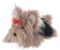 Apricot Lamb–Soaring Yorkshire-Dog Puppy- Plüsch Spielzeug Plüschtier für Mädchen, Jungen & Babys – Flauschiger Stofftier zum Spielen – Gemütliches Schmusetier – Plüsch Hund Welpe schwarz