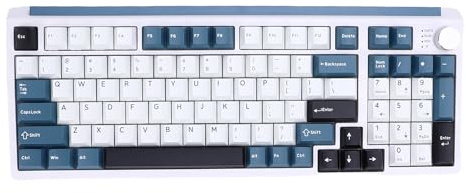 ASHATA Wireless Mechanische Tastatur, 98 Tasten Mechanische Gaming -Tastatur Kabel Verdrahtete 3 -Modi mit RGB -Backbeleuchtung Anpassbarer Beleuchtung 4000 -mAh - für PC -Laptop (Blue)