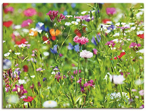 ARTland Leinwandbild Wandbild Bild auf Leinwand 120x90 cm Wanddeko Blumen Blüten Blumenwiese Botanik Sommer Modern Kunst Q6WQ