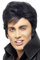 Smiffys Perücke Elvis, Schwarz