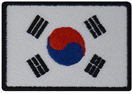 FanShirts4u Aufnäher - SÜD Korea - Fahne - 8 x 5,5cm - Bestickt Flagge Patch Badge Wappen (Schwarze Umrandung)