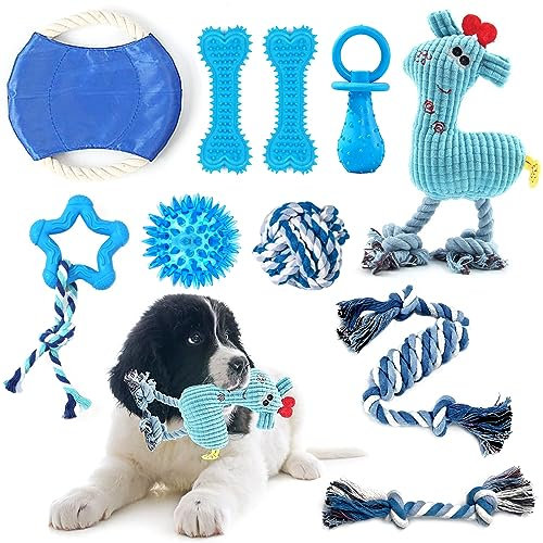 JJW Kauspielzeug für Hunde, 10 interaktive Hundespielzeuge, leuchtende Bälle, quietschendes Plüschspielzeug, Seilspielzeug und Baumwollseil-Frisbees, Wunderbare Geschenke für Hunde