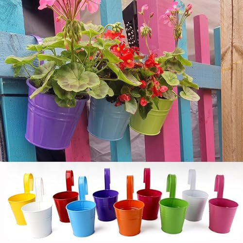 PRADICHI Large Metal Flower Pot Vase Bucket – 10 Pcs Hanging Fence Planters with Drainage Hole & Hook – Assorted 10 Colours – Balcony & Garden Home Décor