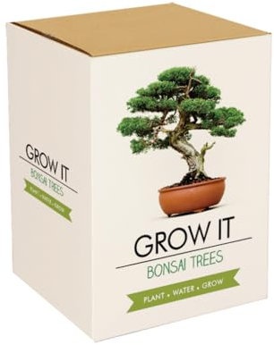 Gift Republic Grow It Geschenkset Bonsai-Pflanzset
