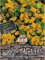 Sperli Blumensamen Würz-Tagetes Hot Mexican, grün