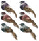 LWINGFLYER 6pcs 3.9-Inch Foam Feather Artificial Birds Fake Birds Sparrow Realistic Clip on Ornaments for Christmas Tree Decoration Wreaths Craft Seasonal Displays