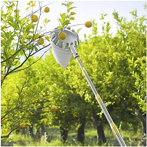 DXDRT Obstpflücker Teleskopstiel 2.5M, Apfelpflücker Obstfänger mit Beutel Obstsammler, Leicht Obsternter aus Metall, Erntehelfer zum Äpfeln, Kirschen, Pflaumen,Zitrus,Pfirsich,Birnen Usw