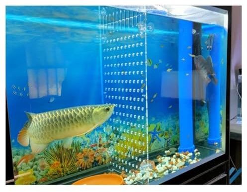 Aquarium Trennwand, Aquarium Partition Trennplatte Isolationsplatine Trennplatte Schallwand Partition Gittergewebe Verhindern Fisch Schildkröte Kämpfen Artefakt ( Farbe : klar , Größe : 58 X60cm )