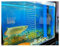 Aquarium Trennwand, Aquarium Partition Trennplatte Isolationsplatine Trennplatte Schallwand Partition Gittergewebe Verhindern Fisch Schildkröte Kämpfen Artefakt ( Farbe : klar , Größe : 58 X60cm )