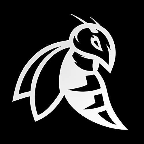 ERREINGE x2 STICKER PRESPAZIATO BIANCO 12cm - APE VESPA DX - Adesivo Decal Decalcomania Vinile Murale Laptop Auto Moto Casco Camper