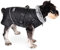 Dociote Hundemantel Hundejacke mit abnehmbarem Geschirr & Klettverschluss gefütterter & wasserdichter Wintermantel Winterjacke für kleine mittelgroße Hunde Schwarz 2XL