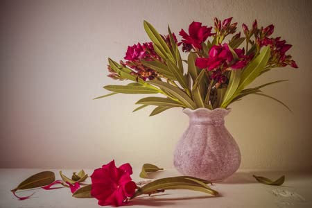 adrium Holz-Bild 80 x 50 cm: Stilleben mit einem schönen Blumenstrauß(49367952)