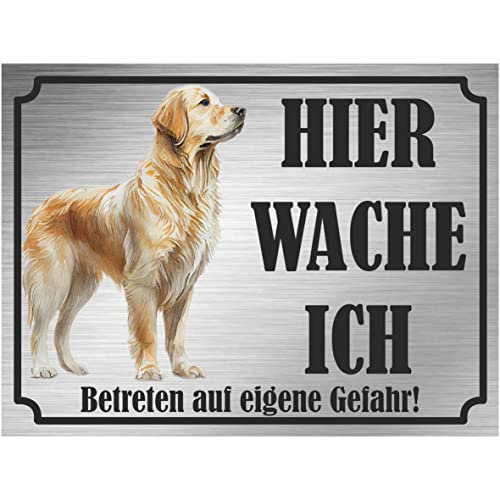 INDIGOS UG - Golden Retriever - Schild bedruckt - Hier wache ich - Aluverbundplatte Edelstahl Look - ab 20x15 cm - Spruch - Deko Geschenkidee für Ihren Hund - Zaun - Türschild