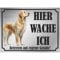 INDIGOS UG - Golden Retriever - Schild bedruckt - Hier wache ich - Aluverbundplatte Edelstahl Look - ab 20x15 cm - Spruch - Deko Geschenkidee für Ihren Hund - Zaun - Türschild