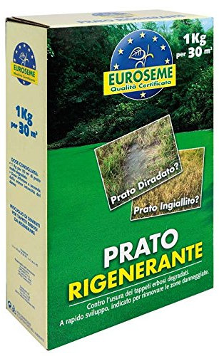 EUROSEME RIGENERANTE 1000 G