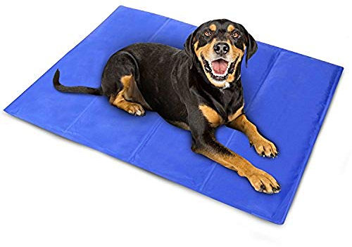 2 x Dog Cat Pet cooler Cooling Cool Gel Mat Bed Pad 60 x 44cm Blue By Pilot Imports®