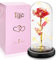 Rose im Glas, Ewige Rose im Glas mit LED-Licht,Die Schöne und das Biest, Künstliche Blumenrose Romantische Geschenke für Mama, Oma, Frauen, Freundin, Valentinstag, Geburtstag(Rote)